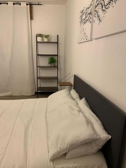 Dga Loft In Padua Center A Few Steps From Squares Apartment Ngoại thất bức ảnh