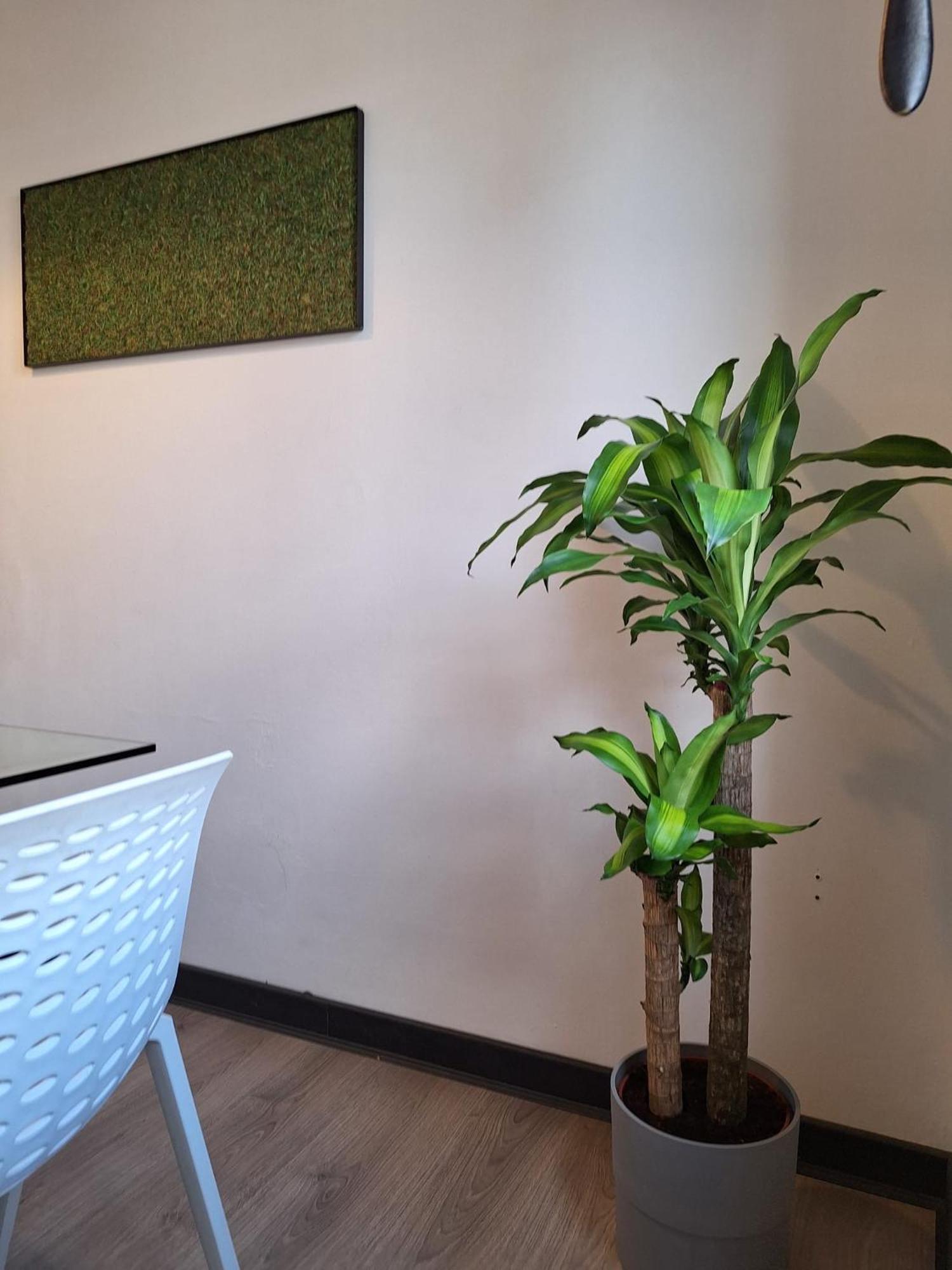 Dga Loft In Padua Center A Few Steps From Squares Apartment Ngoại thất bức ảnh